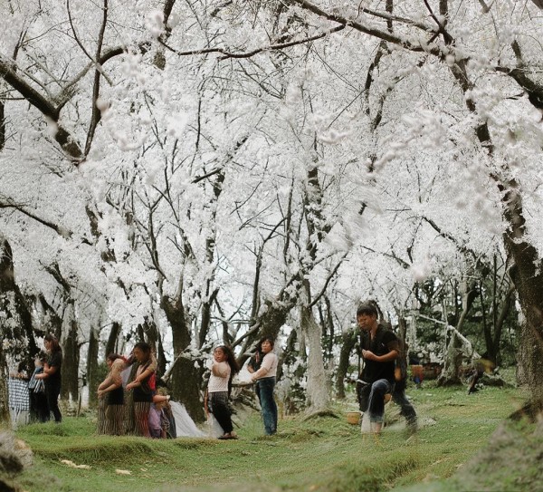 数字化酒店，赋能现代酒店的未来